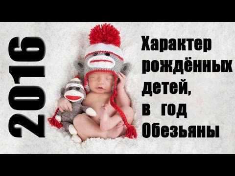 Дети рожденные в год Обезьяны. Характер и гороскоп ребенка Дети рожденные в год Обезьяны. Характер и гороскоп ребенка
