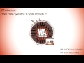 160 Stunning & FREE EDM Sylenth1 & Spire Presets / Sounds (W. A. Production)