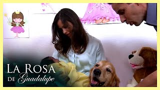 Lupita y ‘Salvador’ son adoptados por una familia amorosa | La rosa de Guadalupe