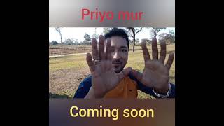 Priyo Mur