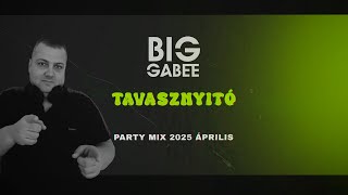 Tavasznyitó Party Mix 2025. Április Mixed By. Big Gabee