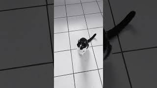 Elle Veut Un Câlin