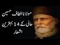 Maulana Altaf Hussain Hali Poetry ll Top 14 Shayari ll Mnj Poetry