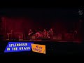 The Way You Used to Do - Queens of the Stone Age (Subtitulado al español) Mp3