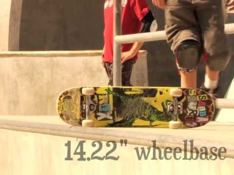 Salba Cruz: Salbasaurus