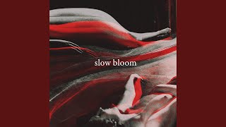 Watch Slow Bloom Teeth Marks video