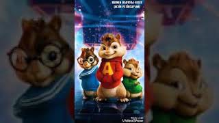 Reymen-Radyoda Neşet Alvi̇n Ve Si̇ncaplar