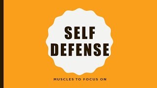 Self Defense: Muscles to Focus on to be Self Defense Ready