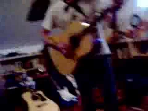 Treephorts Video