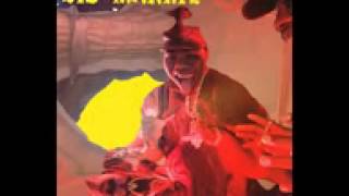 Watch Biz Markie Return Of The Biz Dance video