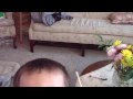 meet_greet.MOV