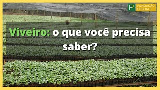 Podcast - Viveiro O Que Você Precisa Saber?