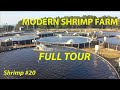 SUPER-INTENSIVE MODERN SHRIMP FARM - FULL TOUR #20 | #FISH
