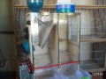 Seed Cleaning Machine