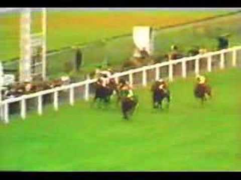 Ranker Video