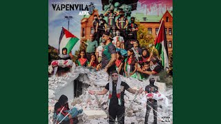 Vapenvila