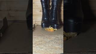 Burger Crushed In Pleaser High Heel Boots