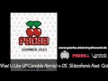 PACHA SUMMER 2010 // mixed by MABOO INC. & ADULT E