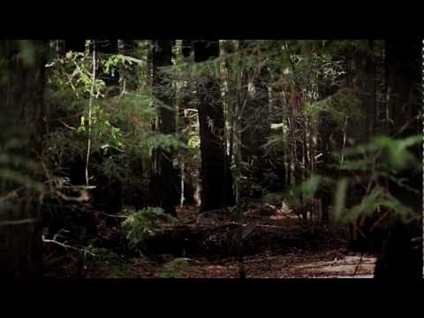 Plagued Are All My Thoughts Video