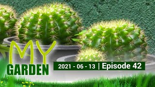 My Garden | Episode 42 | 13 - 06 - 2021