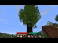 minecraftwg
