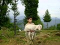 گوجری بیساکھ.wmv
