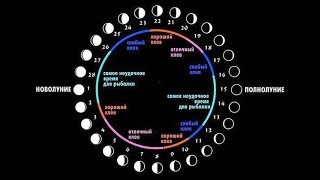 Определение Клёва Рыбы По Лунному Календарю