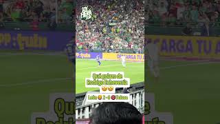 ThZW9rec64w Video Image