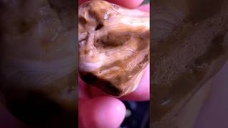 The Best Kind Of Chert