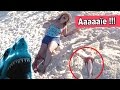 BLAGUE & GAG - ATTAQUE par un REQUIN en VACANCES sur la PLAGE - SHARK ATTACK PRANK on HOLIDAYS