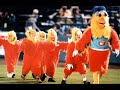 The Tweets - The Birdy Song(Chicken Edition)