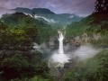 yasuni