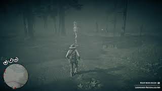 Red Dead Redemption 2* - Mr_Hazze - Die Legendäre Alligator jagd