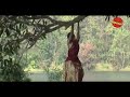 Malayalam Movie 2013 Koodaram Malayalam Movie Song Poomulla Kaavil