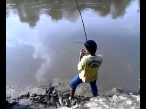 Watch ikan besar / monster fish