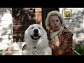 pastore 動画4c