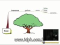 Mapas Mentais 2006 - 5ª parte