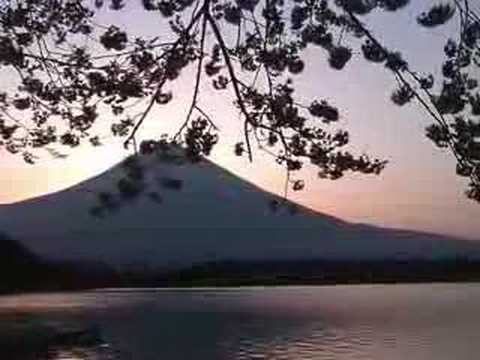 Moments of Happiness (Flowers of Japan)