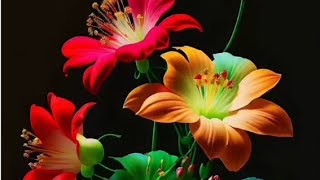 Urmila Devi Is Live
