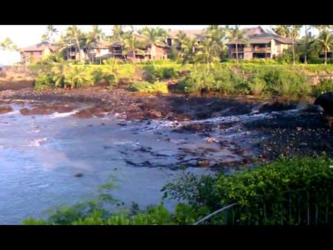 Hawaii tsunami warning today kona
