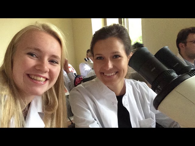 Watch Anne van Dören studeert tandheelkunde in Riga: hoe is dat? | KNMT on YouTube.