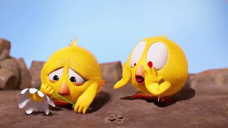 Где Чики? 🐥 Chicky Новая Серия! | Садоводство 🌼 Сборник Мультфильмов На Русском Языке