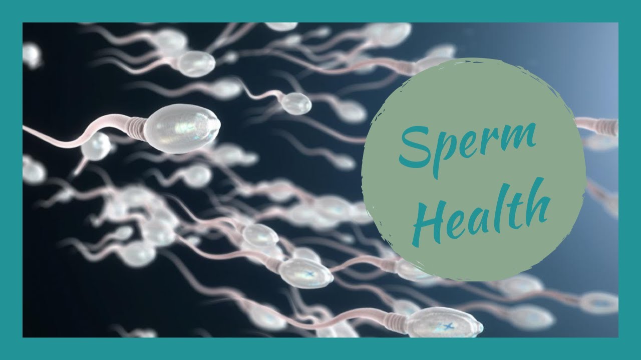 Sperm health pregnancy