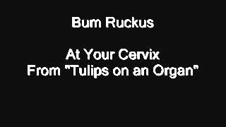 Watch Bum Ruckus At Your Cervix video