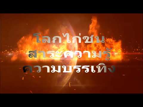 ความเชื่อเรื่องไก่หัวบาก ลักษณะไก่เก่ง รายการโลกไก่ชน