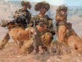 Oketz - IDF Special Forces - My IDF Unit