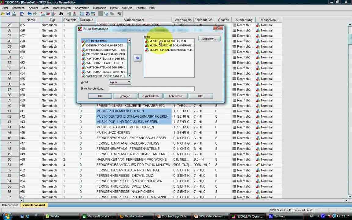 cronbach alpha spss