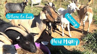 Where Do I Buy My First Goats Buyingstockingfencing Goats 101