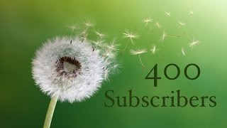 400 Subscriber Special
