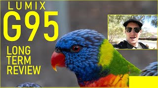 Lumix G95 Long Term Review More Than A B-Cam